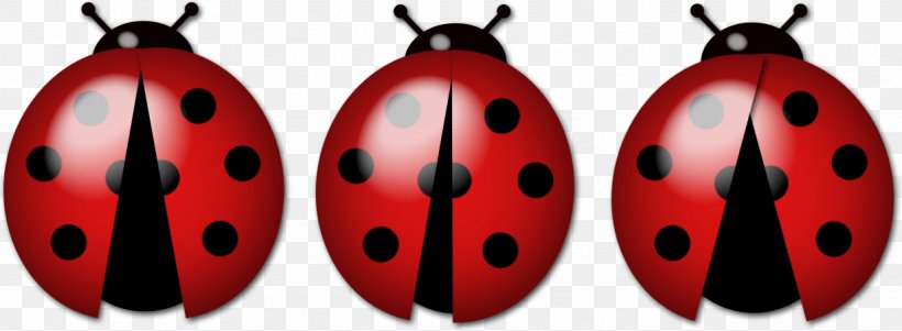 Ladybird Insect Luck Family, PNG, 1231x453px, Ladybird, Beetle, Book, Education, Entertainment Download Free