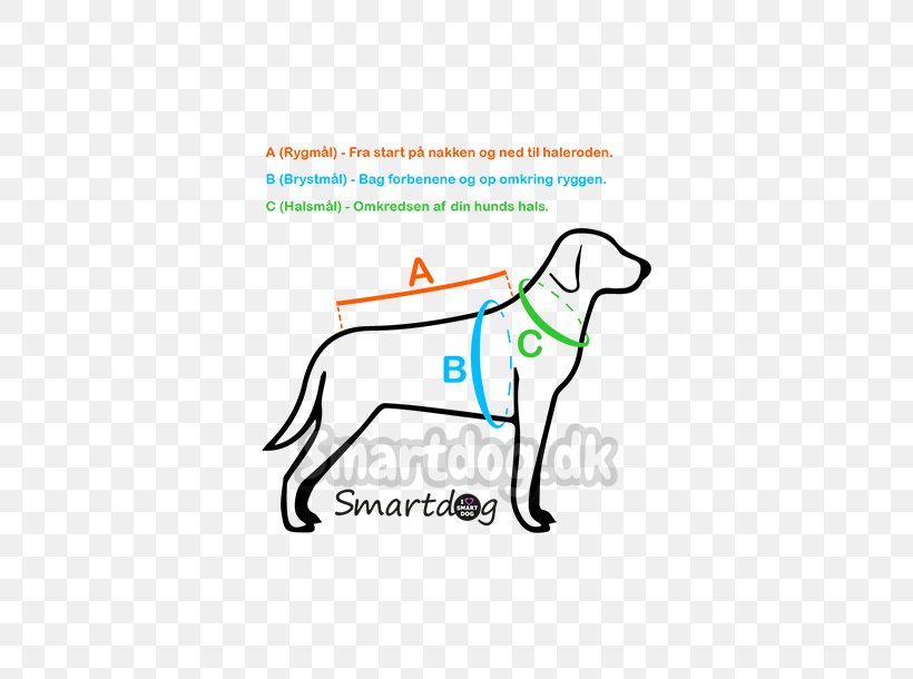 Dog Breed Puppy Sporting Group Labrador Retriever Leash, PNG, 610x610px, Dog Breed, Area, Banja Luka Stock Exchange, Breed, Carnivoran Download Free