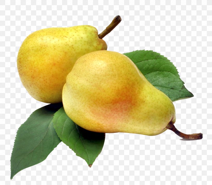 Rakia Slatko Williams Pear Fruit, PNG, 1431x1250px, Rakia, Apple, Auglis, Cultivar, Flavor Download Free