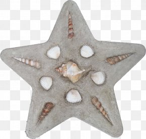 Star - Shell Star Dark Star Skin Game Boy PNG