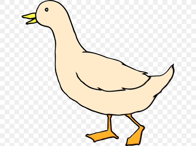 Bird Beak Duck Water Bird Ducks, Geese And Swans, PNG, 640x613px, Watercolor, Beak, Bird, Duck, Ducks Geese And Swans Download Free