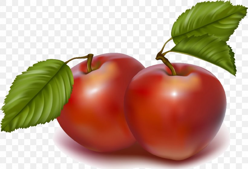 Oak Glen, San Bernardino County, California Fruit Apple Clip Art, PNG, 1000x682px, Fruit, Acerola, Acerola Family, Apple, Berry Download Free
