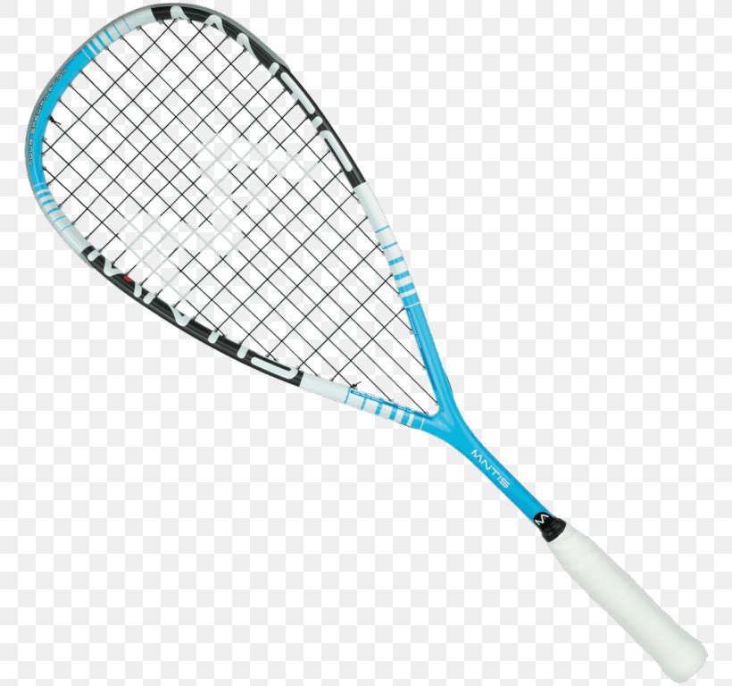 Racket Squash Strings Head Sports, PNG, 768x768px, Racket, Badminton, Head, Player, Rackets Download Free