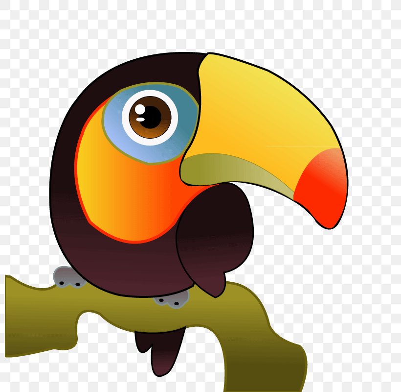 Toco Toucan Bird Clip Art, PNG, 800x800px, Toco Toucan, Beak, Bird, Drawing, Fauna Download Free