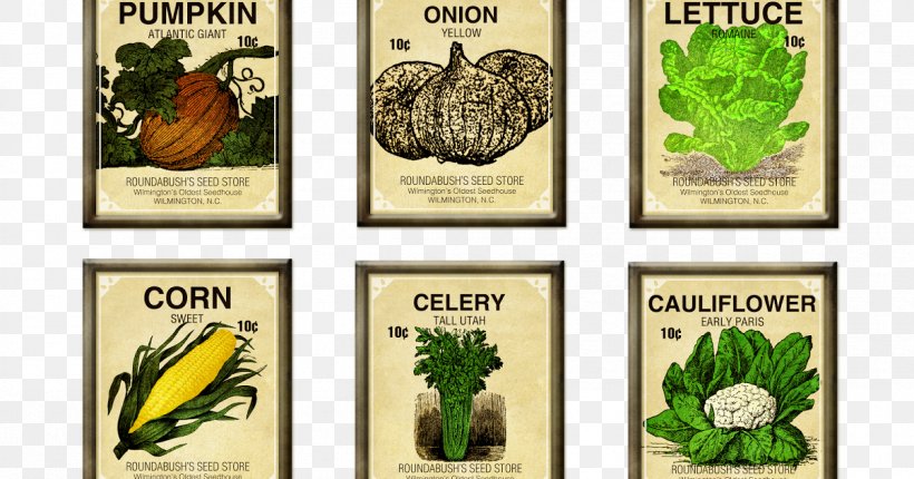 Vegetable Seed Blütengemüse Cucumber Heirloom Plant, PNG, 1200x630px, Vegetable, Bean, Brand, Cucumber, Flower Download Free