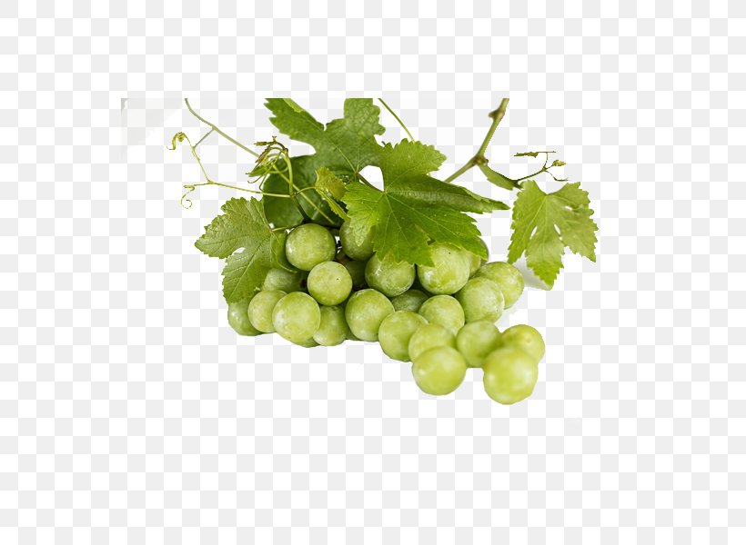 Common Grape Vine Green Tea Fruit, PNG, 600x600px, Common Grape Vine, Berry, Food, Fruit, Fruit Tree Download Free