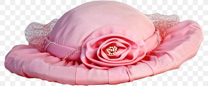 Hat Adobe Illustrator, PNG, 790x339px, Hat, Costume Hat, Cut Flowers, Designer, Flower Download Free