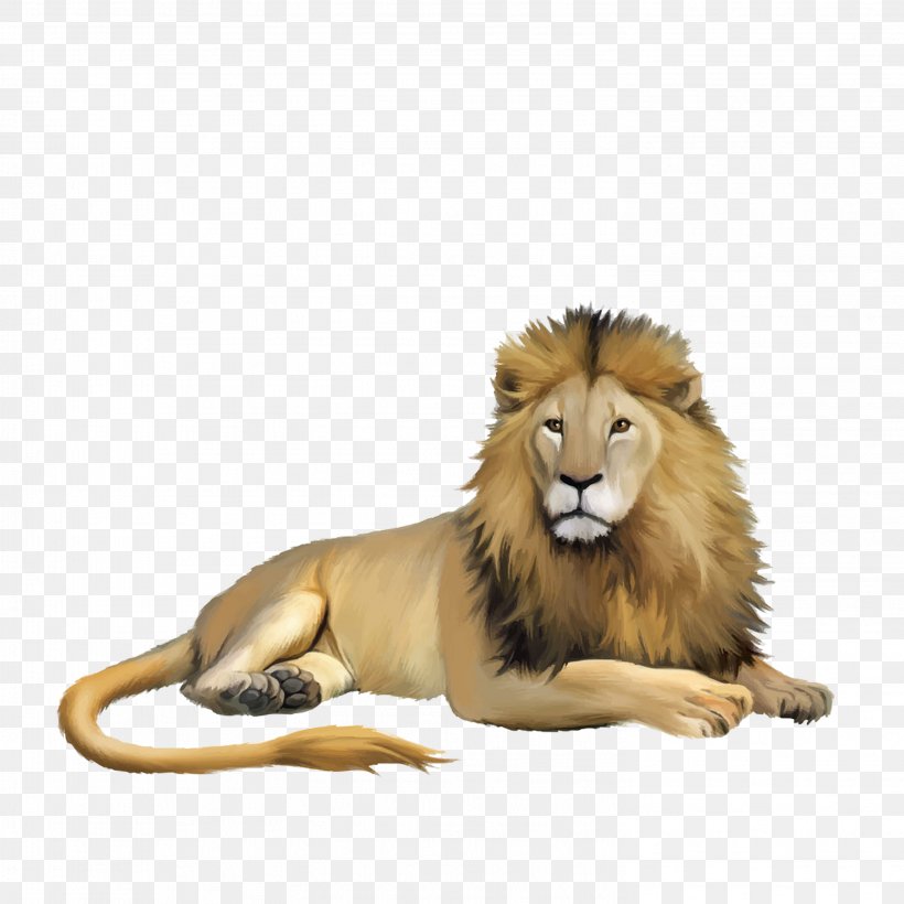 Lion Cartoon Animal Illustration, PNG, 2953x2953px, Lion, Animal, Big Cats, Carnivoran, Cartoon Download Free