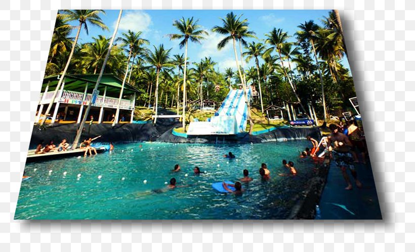 Slip N Fly Swimming Pool Resort Water Park Leisure, PNG, 808x498px, Swimming Pool, Caribbean, Ko Phangan, Leisure, Playground Slide Download Free