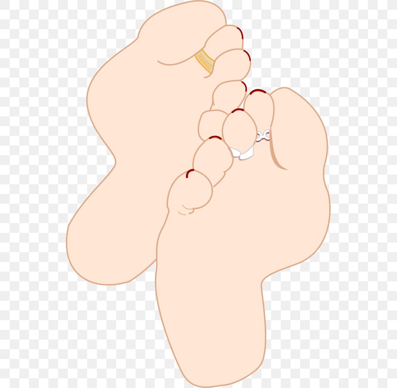 Thumb Foot Sole Clip Art, PNG, 547x800px, Watercolor, Cartoon, Flower, Frame, Heart Download Free