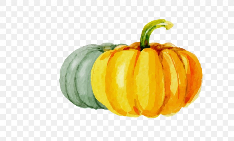 Calabaza Kabocha Pumpkin Halloween, PNG, 871x525px, Calabaza, Cucumber Gourd And Melon Family, Cucurbita, Cucurbita Maxima, Drawing Download Free