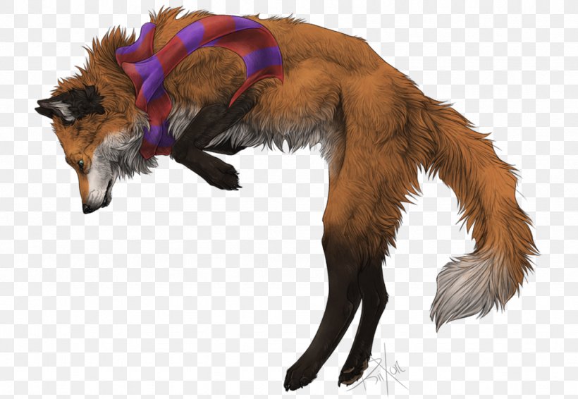 Dog Breed Red Fox Fur Snout, PNG, 1024x708px, Dog Breed, Breed, Carnivoran, Dog, Dog Like Mammal Download Free