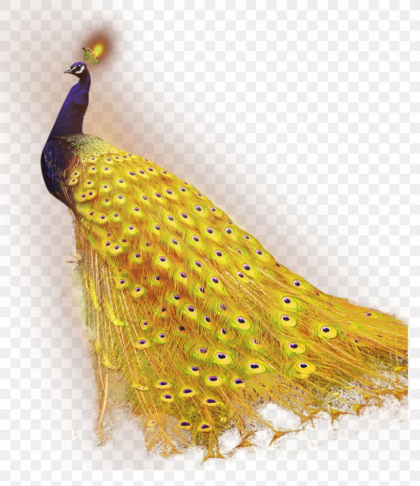 Download Peafowl, PNG, 2513x2914px, Peafowl, Color, Computer Software, Dots Per Inch, Image Resolution Download Free