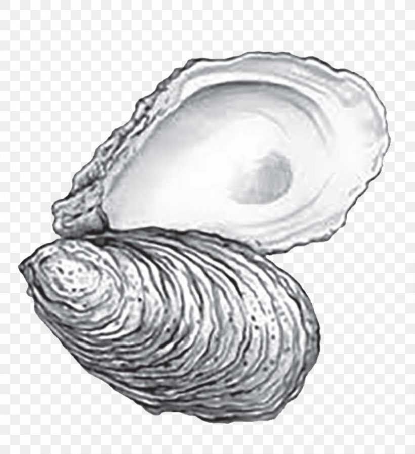 Eastern Oyster Cape Fear CREW: 2018 Annual Oyster Roast Drawing Sketch, PNG, 822x901px, Oyster, Black And White, Chesapeake Bay, Clam, Clams Oysters Mussels And Scallops Download Free