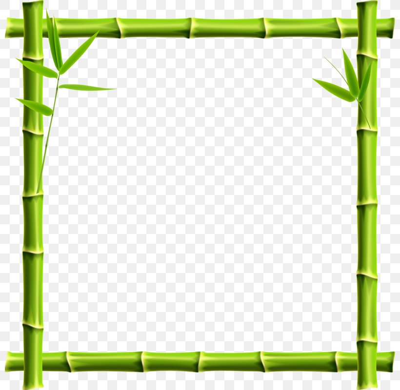 Giant Panda Picture Frame Bamboo Clip Art, PNG, 800x800px, Giant Panda, Area, Bamboo, Grass, Green Download Free