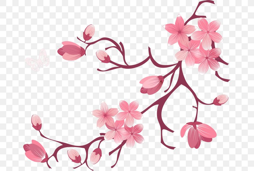 National Cherry Blossom Festival, PNG, 670x554px, Cherry Blossom, Beauty, Blossom, Branch, Cherry Download Free