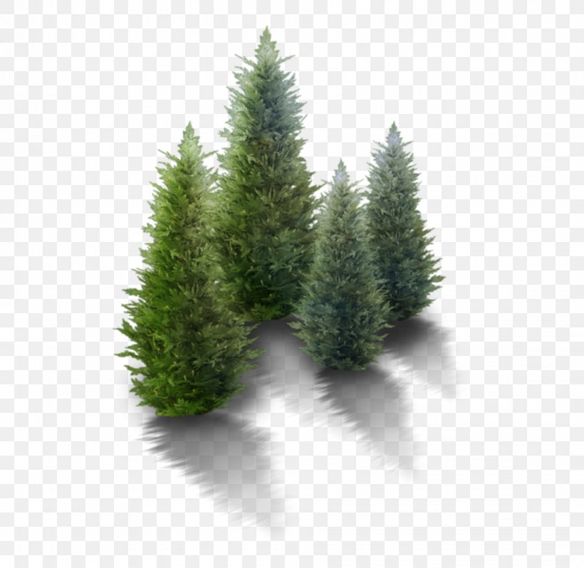 Clip Art Christmas Tree Vector Graphics, PNG, 1952x1900px, Tree, American Larch, Balsam Fir, Biome, Christmas Day Download Free