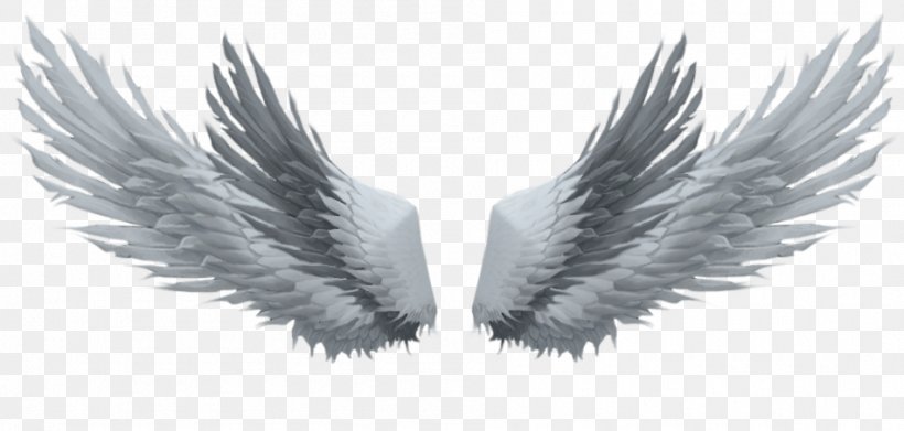 Drawing Photography Image PicsArt Photo Studio, PNG, 950x453px, Drawing, Angel Wing, Art, Beak, Black And White Download Free