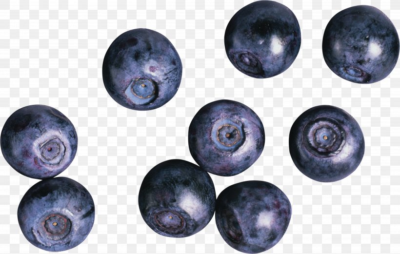 European Blueberry Bilberry, PNG, 4868x3095px, Blueberry, Auglis, Berry, Bilberry, Button Download Free