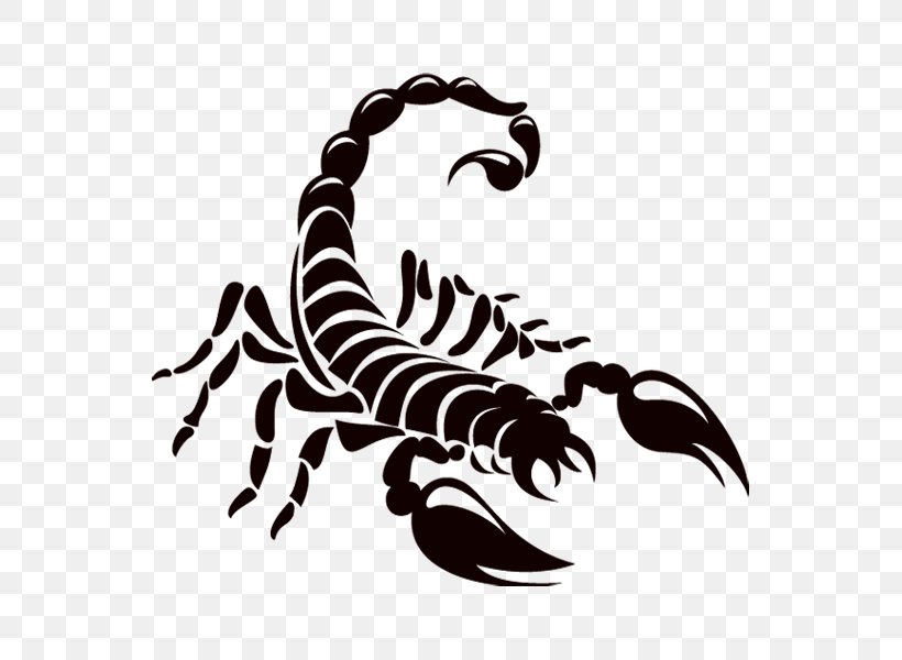 Scorpion Logo Drawing, PNG, 600x600px, Scorpion, Arachnid, Arthropod, Black And White, Claw Download Free