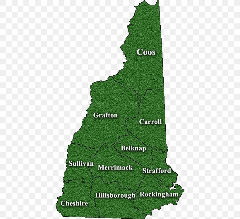 Strafford County, New Hampshire Sullivan County, New Hampshire Carroll County, New Hampshire Belknap County, New Hampshire Errol, PNG, 440x748px, Hillsborough, Biome, Christmas Tree, County, Grass Download Free