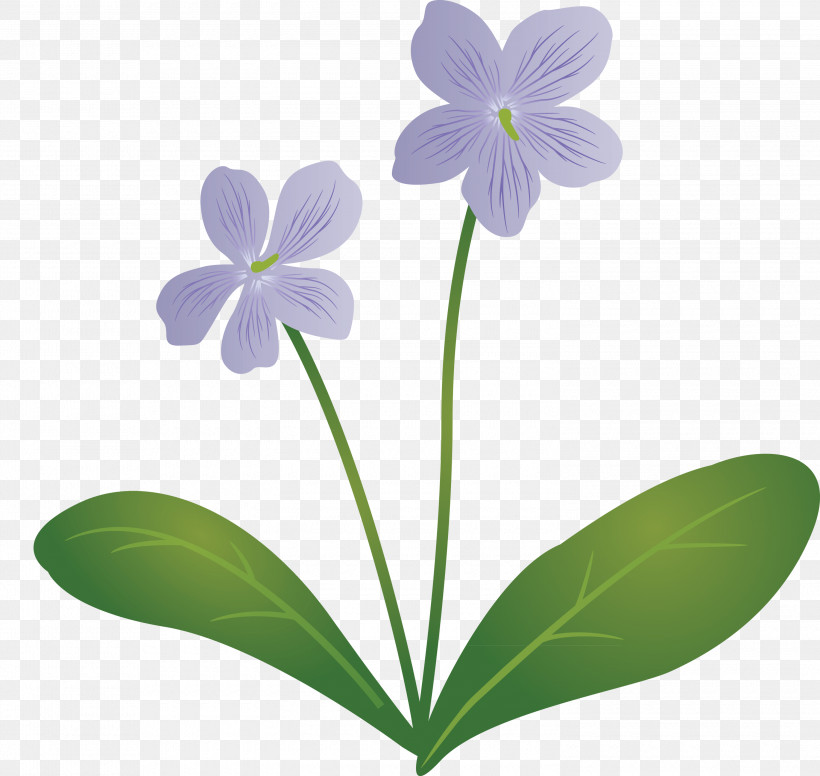 Violet Flower, PNG, 3000x2841px, Violet Flower, Biology, Flora, Herbaceous Plant, Lavender Download Free