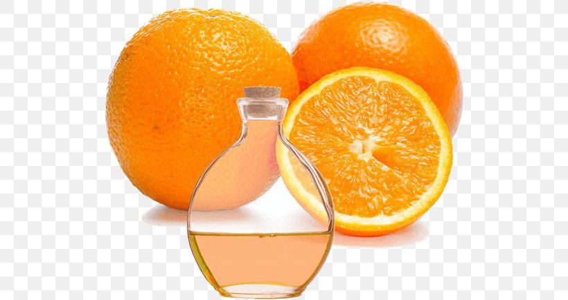 Blood Orange Peel Tangerine Tangelo Clementine, PNG, 519x434px, Blood Orange, Bergamot Orange, Bitter Orange, Citric Acid, Citrus Download Free