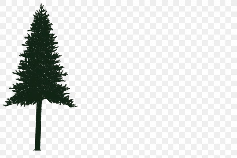 Spruce Christmas Tree Logo Pine Christmas Ornament, PNG, 1000x670px, Spruce, Case Study, Christmas Day, Christmas Decoration, Christmas Ornament Download Free