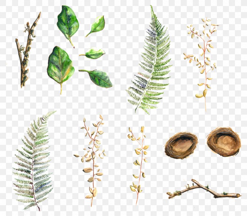 Twig Plant Stem Leaf Herbalism, PNG, 956x835px, Twig, Branch, Herbalism, Leaf, Organism Download Free