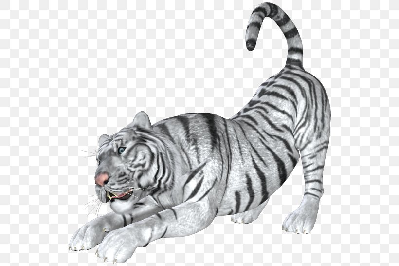 Bengal Tiger Cat Lion White Tiger, PNG, 606x546px, Bengal Tiger, Animal, Animal Figure, Big Cat, Big Cats Download Free