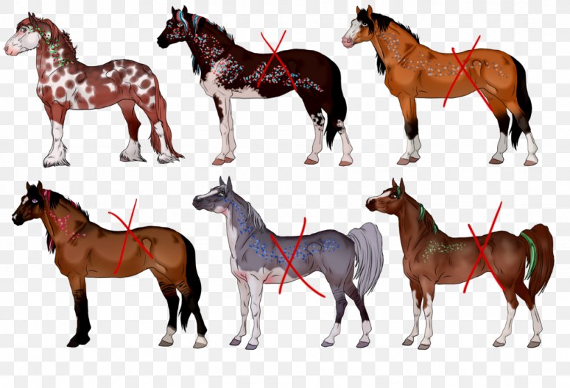 Mustang Foal Stallion Colt Mare, PNG, 1024x698px, Mustang, Animal Figure, Bridle, Colt, Dog Harness Download Free