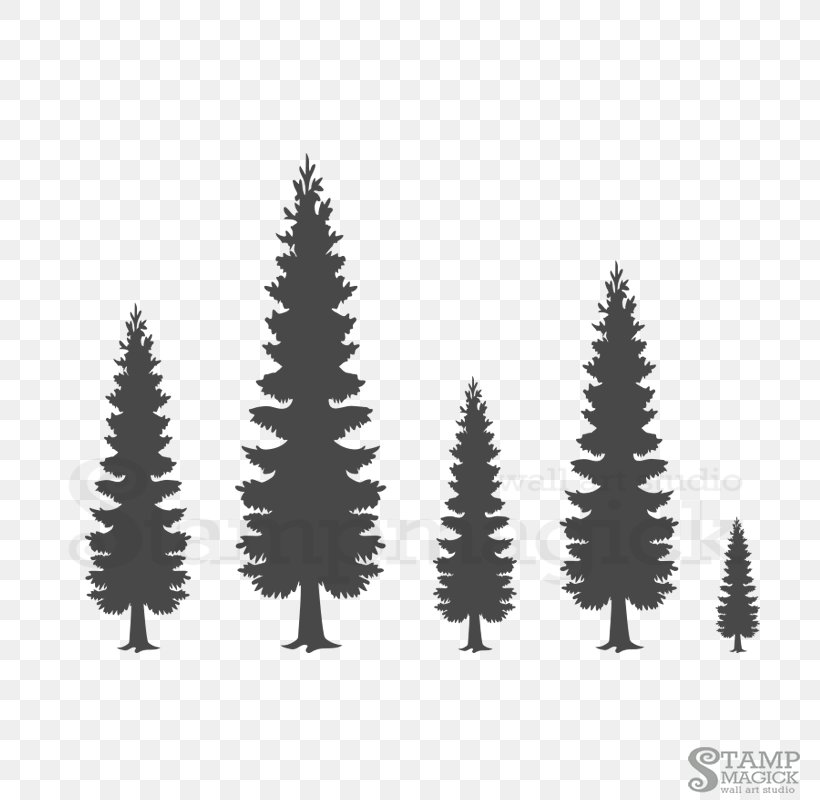 Spruce Wall Decal Pine Sticker, PNG, 800x800px, Spruce, Black And White, Christmas Day, Christmas Decoration, Christmas Ornament Download Free