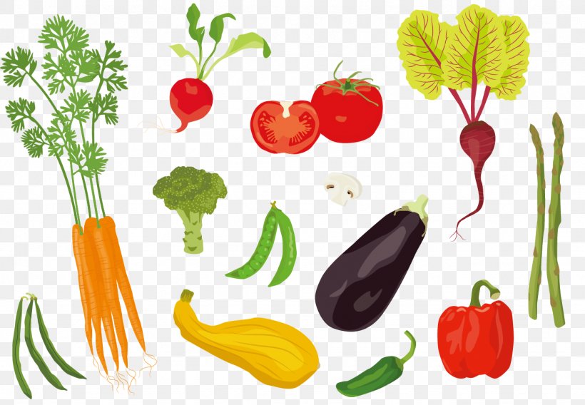 Tomato Adobe Illustrator Illustration, PNG, 1333x924px, Tomato, Art, Bell Peppers And Chili Peppers, Carrot, Diet Food Download Free