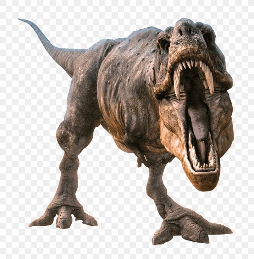 Tyrannosaurus Allosaurus Velociraptor Dinosaur Spinosaurus, PNG, 866x883px, Tyrannosaurus, Allosaurus, Animal Figure, Aucasaurus, Carcharodontosaurus Download Free