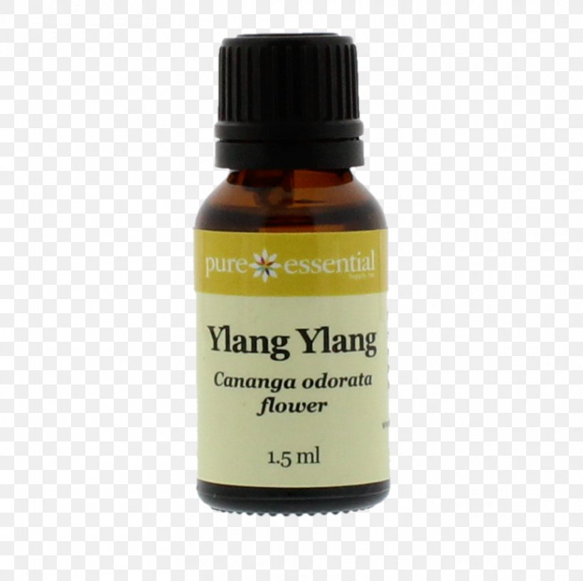 Ylang-ylang Essential Oil Liquid Product, PNG, 859x855px, Ylangylang, Essential Oil, Liquid, Oil, Wellbeing Download Free