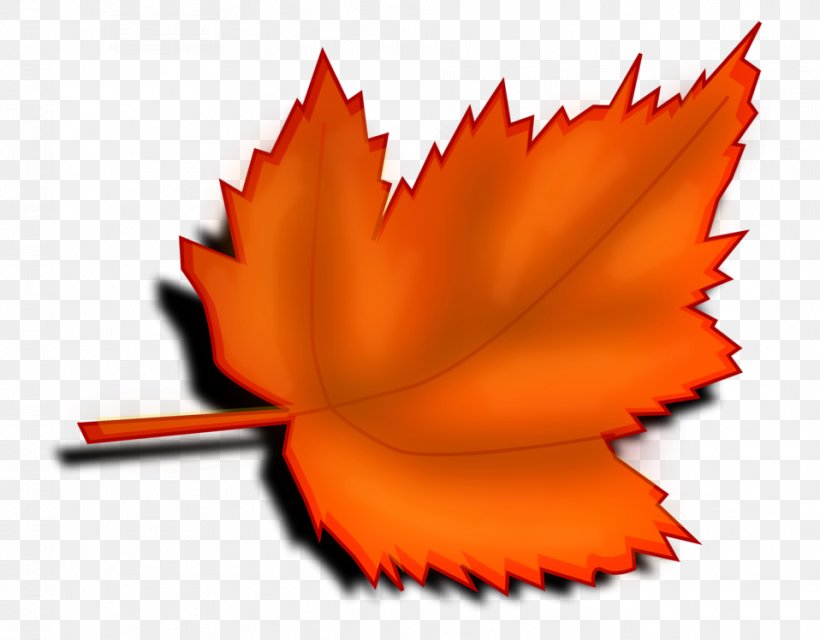 Autumn Leaf Color Clip Art, PNG, 958x748px, Leaf, Alder, Autumn, Autumn Leaf Color, Color Download Free