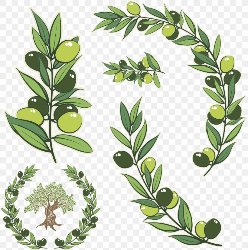 Olive Branch Olive Wreath Stock Photography Illustration, PNG, 918x925px, Olive, Art, Branch, Drawing, Flower Download Free