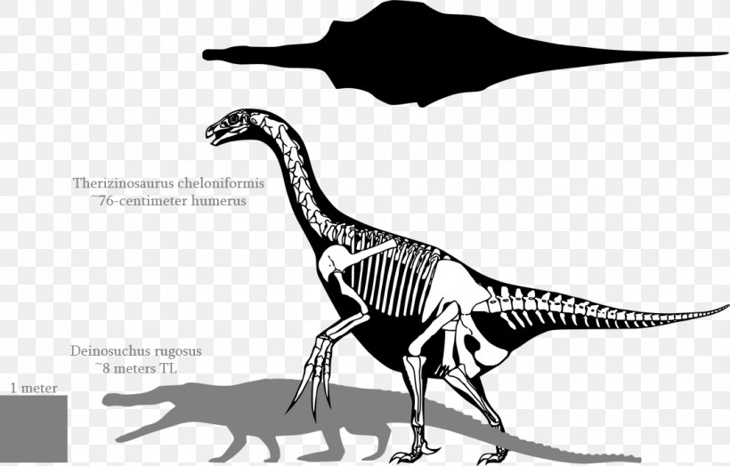 Tyrannosaurus Therizinosaurus Deinosuchus Deinocheirus, PNG, 1082x692px, Tyrannosaurus, Albertosaurus, Beak, Bird, Bite Force Quotient Download Free