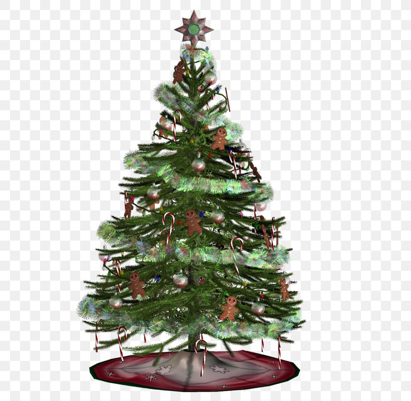 Christmas Tree Christmas Ornament Spruce, PNG, 800x800px, Christmas Tree, Christmas, Christmas Decoration, Christmas Ornament, Conifer Download Free