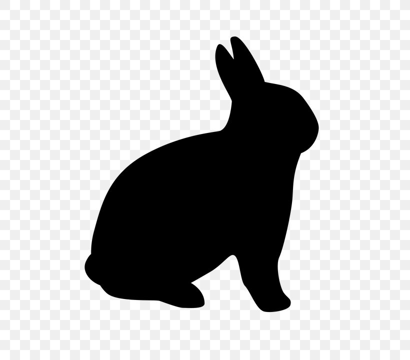 Hare Domestic Rabbit Chinchilla, PNG, 720x720px, Hare, Black, Black And White, Carnivoran, Chinchilla Download Free