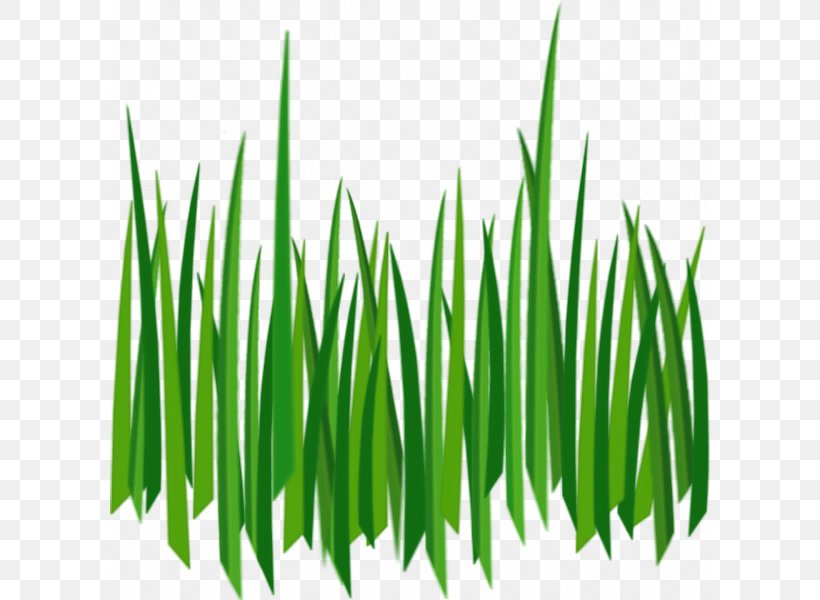 Lawn Clip Art, PNG, 600x600px, Stock Photography, Black And White, Cartoon, Commodity, Grass Download Free
