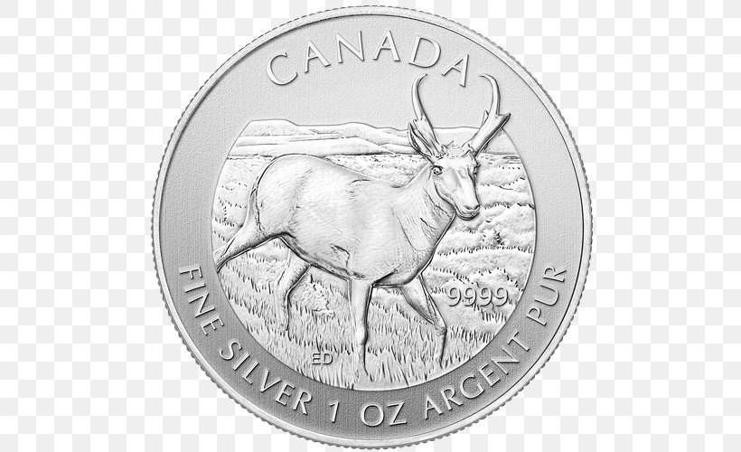 Pronghorn Canada Canadian Wildlife Bullion Coin Royal Canadian Mint, PNG, 500x500px, Pronghorn, Antler, Black And White, Bullion, Bullion Coin Download Free
