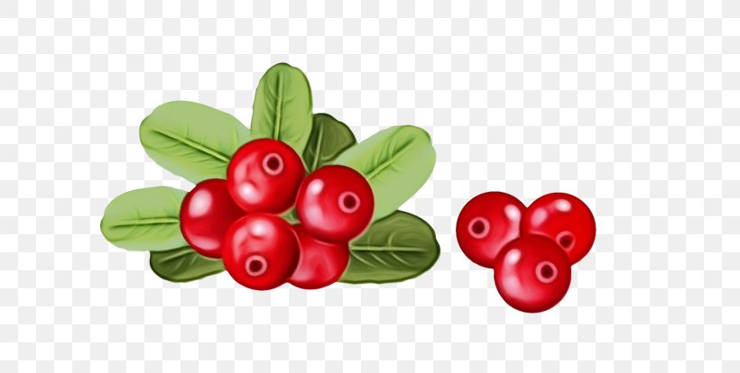Berry Lingonberry Fruit Plant Red, PNG, 640x414px, Watercolor, Arctostaphylos Uvaursi, Berry, Cranberry, Currant Download Free