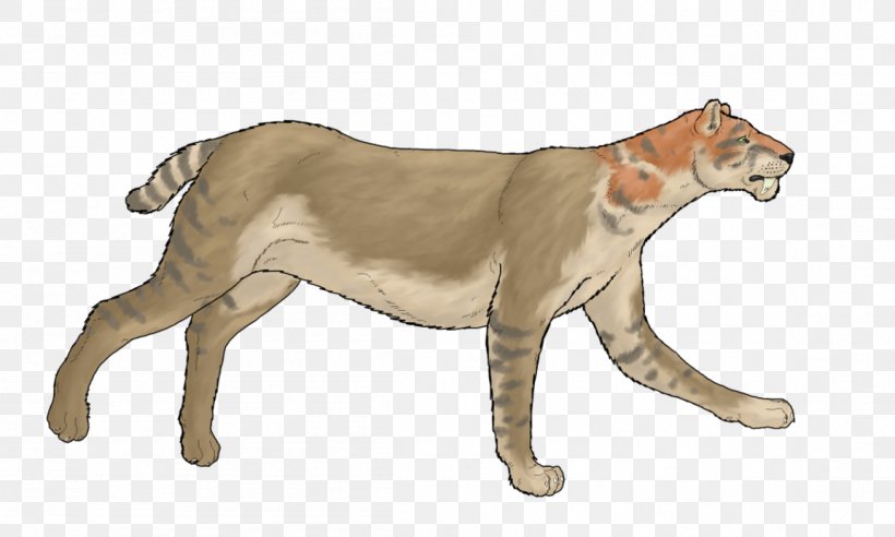 Cougar Lion Cat Pliocene Bear, PNG, 1153x692px, Cougar, Animal, Animal Figure, Art, Bear Download Free