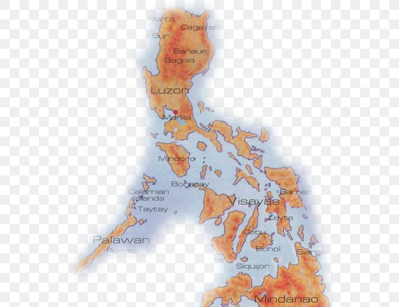Philippines Map Organism Tuberculosis Island, PNG, 550x630px, Philippines, Filipino, Island, Map, Organism Download Free