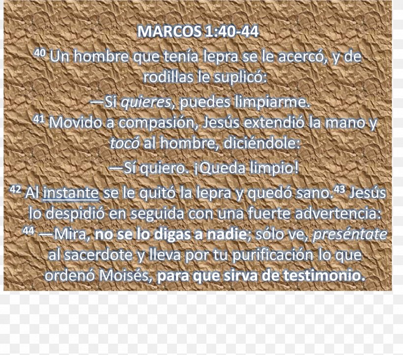 Bible Crochet Text Headband Message, PNG, 1557x1374px, Bible, Crochet, Headband, Message, Text Download Free