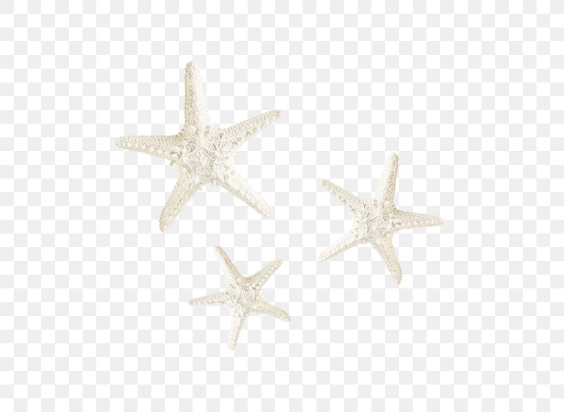 Starfish White, PNG, 600x600px, Starfish, Black And White, Body Jewelry, Cartoon, Echinoderm Download Free