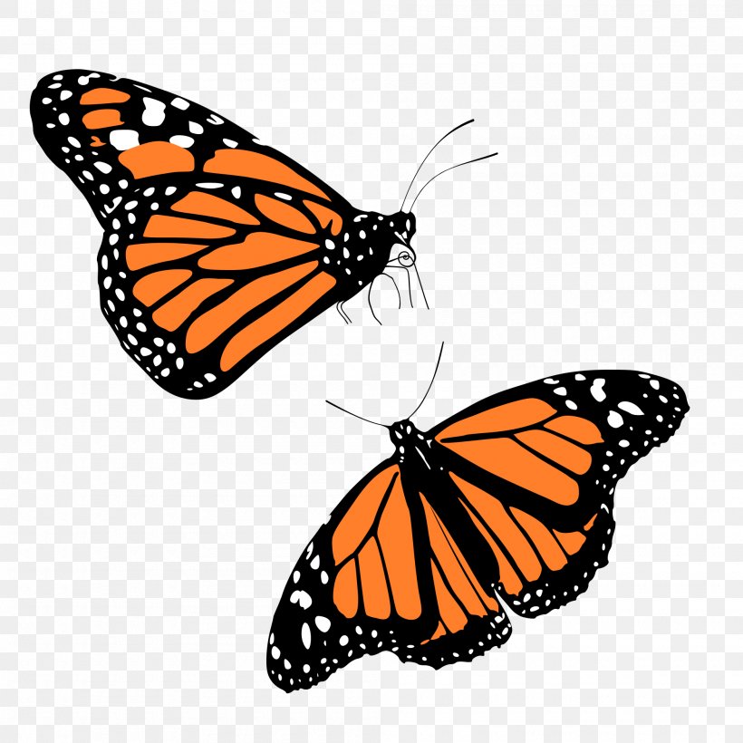The Monarch Butterfly Insect Clip Art, PNG, 2000x2000px, Butterfly, Animal Migration, Arthropod, Brush Footed Butterfly, Butterflies And Moths Download Free