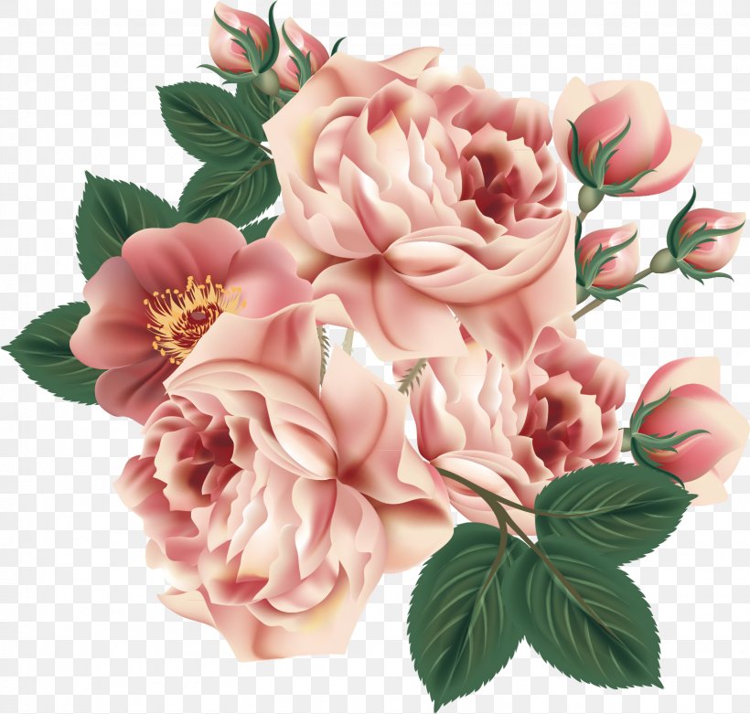 Centifolia Roses Flower Floral Design Garden Roses, PNG, 1617x1541px, Flower, Artificial Flower, Cut Flowers, Floral Design, Floribunda Download Free
