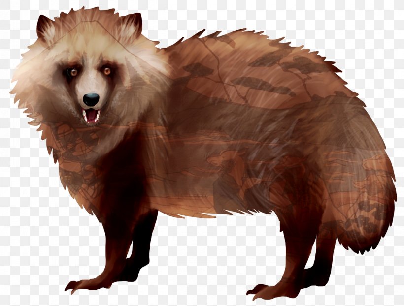 Japanese Raccoon Dog Brown Bear Procyonidae, PNG, 1200x911px, Dog, Animal, Animal Sauvage, Bear, Brown Bear Download Free